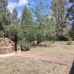 Piera *