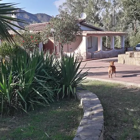 Piera Nyaraló