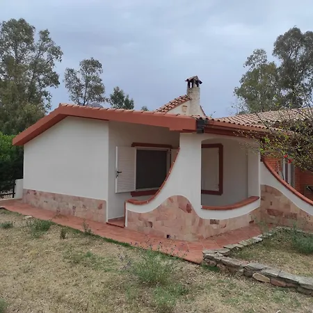 Piera