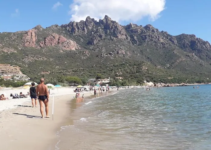 Piera Tatil Evi *